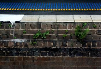 �˿��Ƹ�Ӧ����Ƶ��ʳҩ���:���ϴ������⿹��ҩԼ75%Ϊ��ðҩƷ...